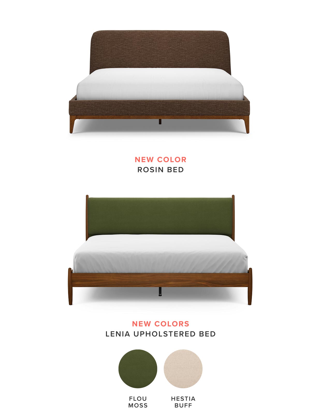 New Colour: Rosin and Lenia.