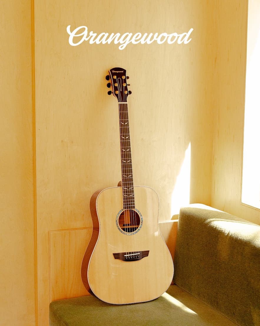 Guitar
