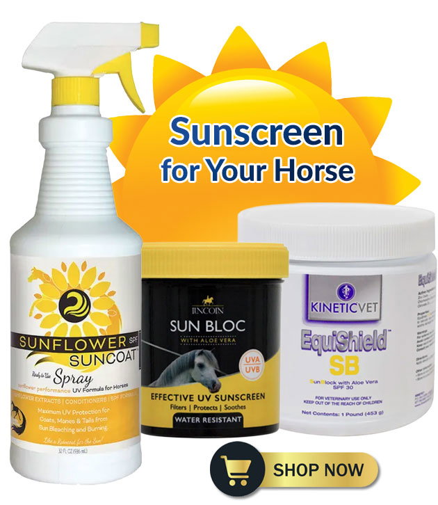Sunscreen spray and ointments for horses