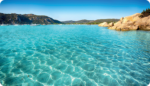 Corse