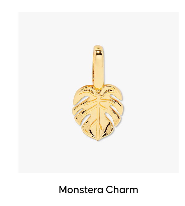 Monstera Charm