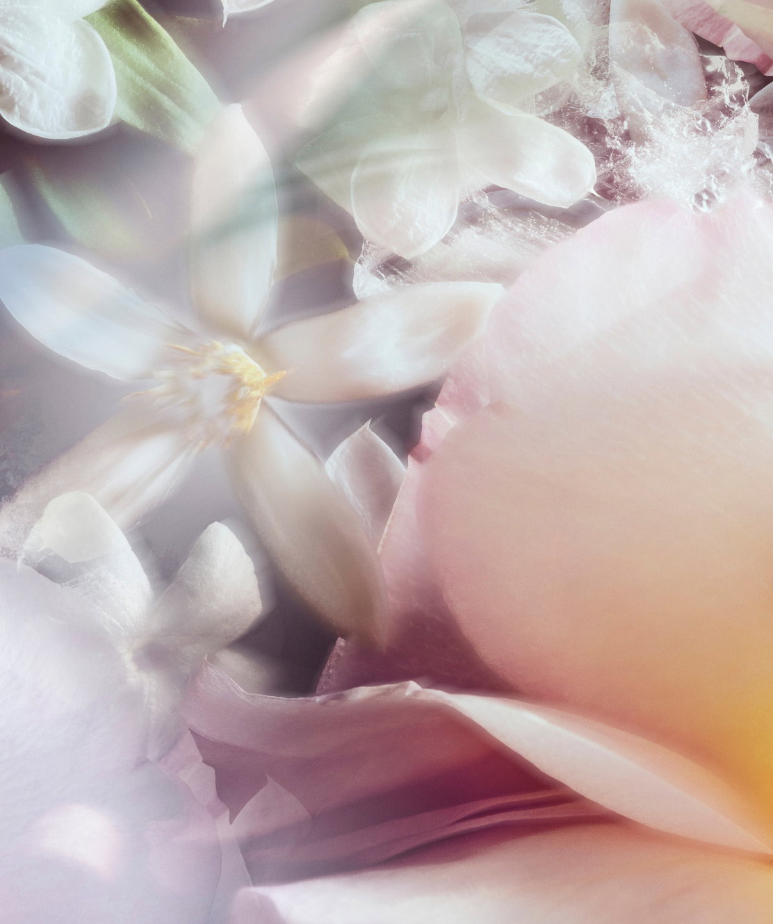 AN ABSTRACT ALDEHYDIC FLORAL