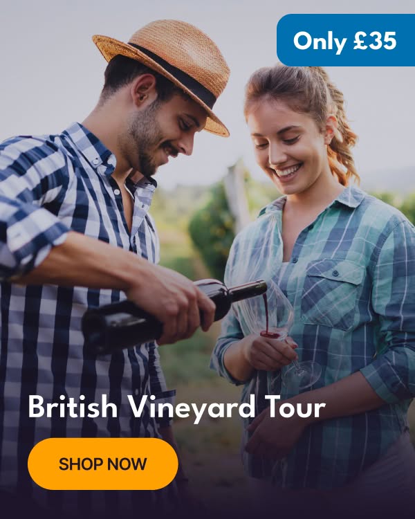 British Vineyard Tours & Tastings for Two