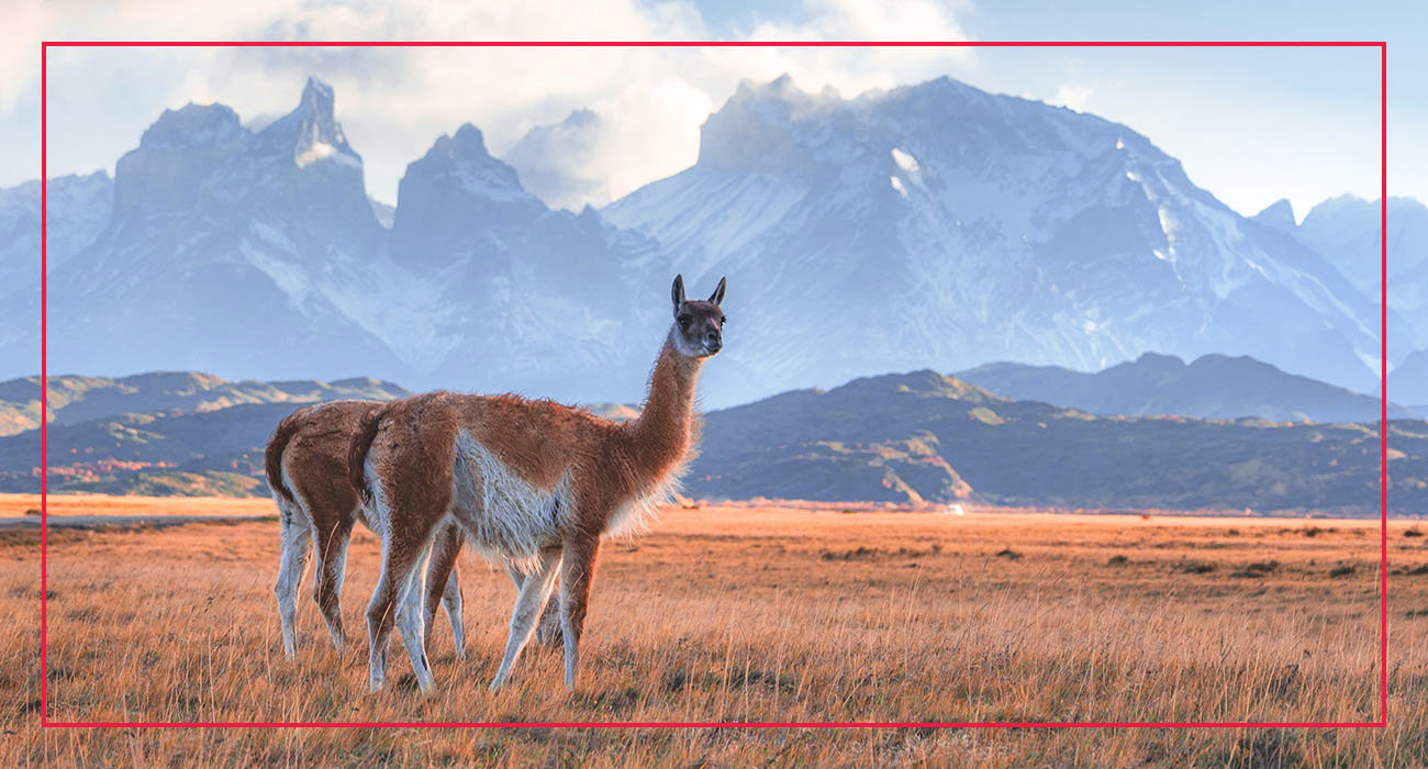 Zubehör für Wildlife- und Landschaftsfotografie