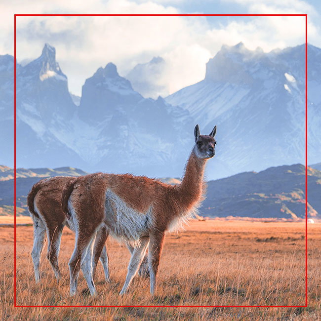 Zubehör für Wildlife- und Landschaftsfotografie