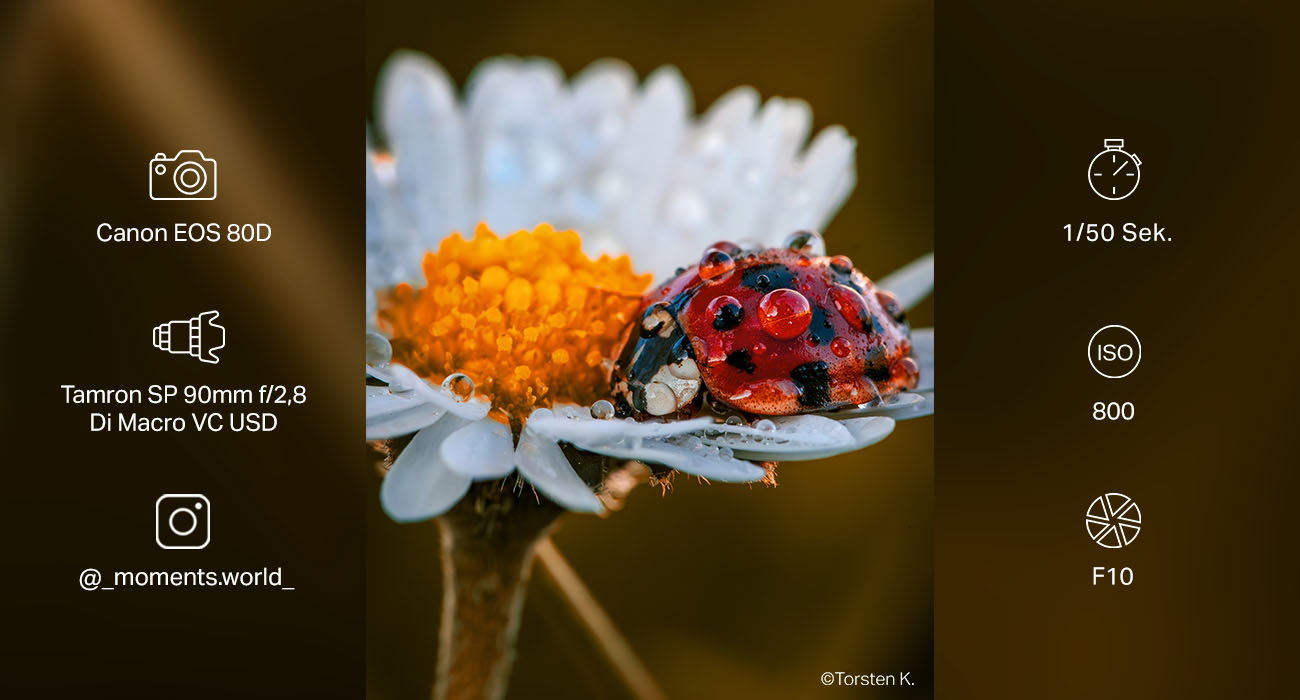 Foto der Woche