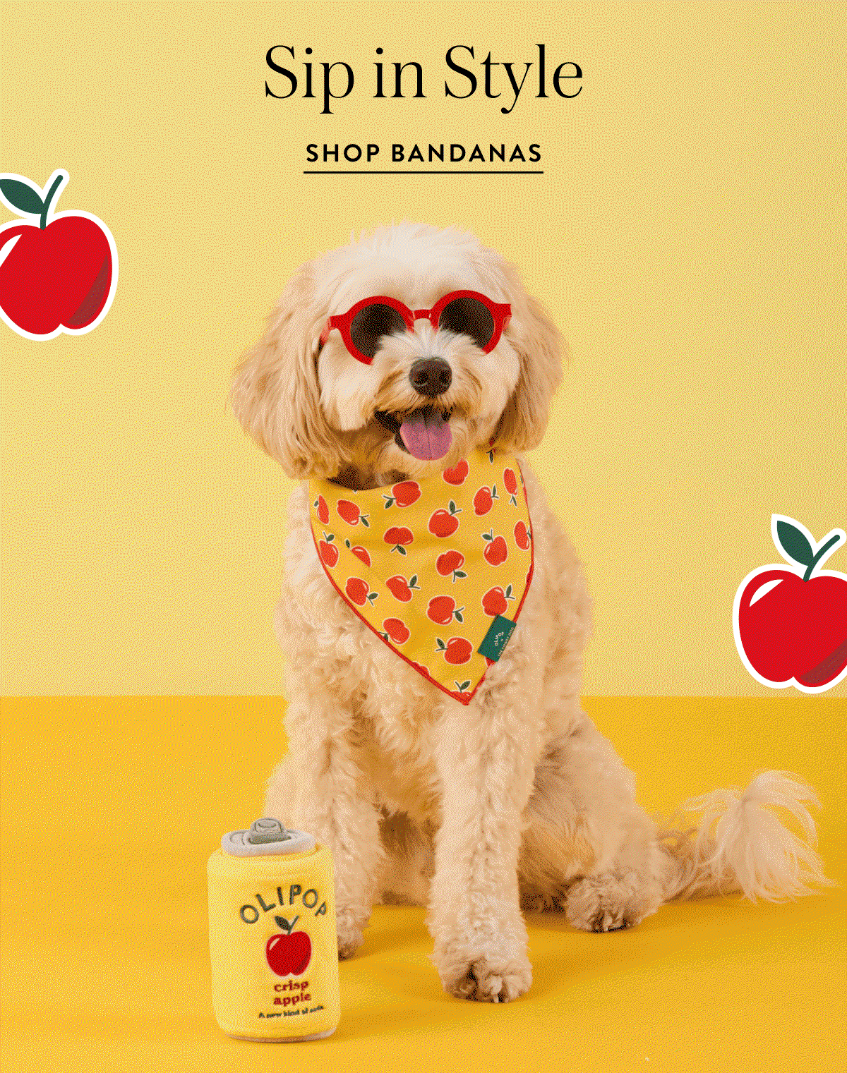 Shop bandanas 