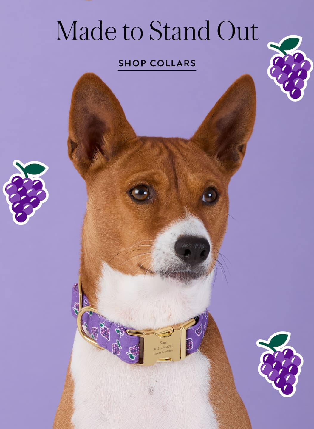 Shop collars