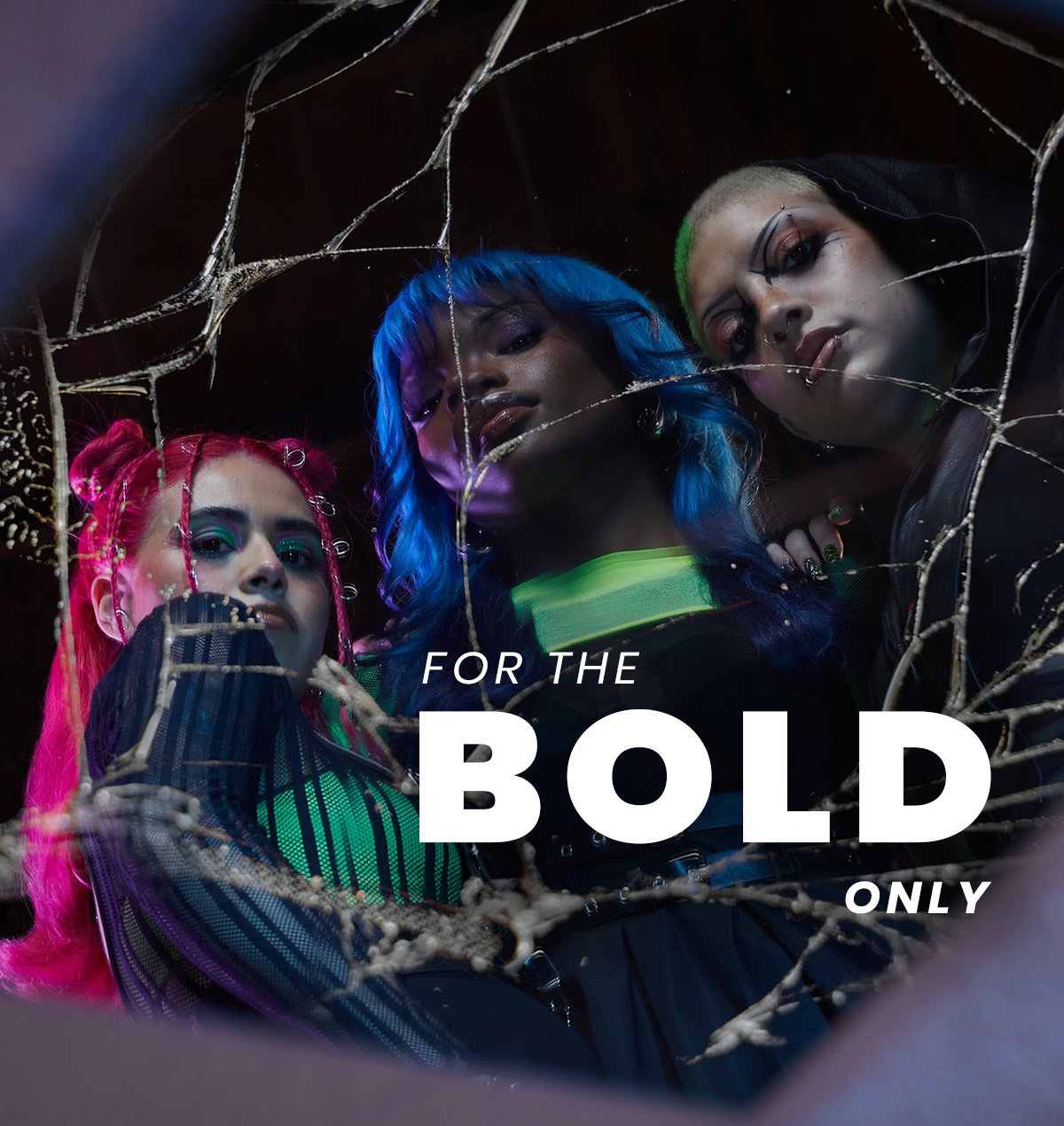 For the Bold Only