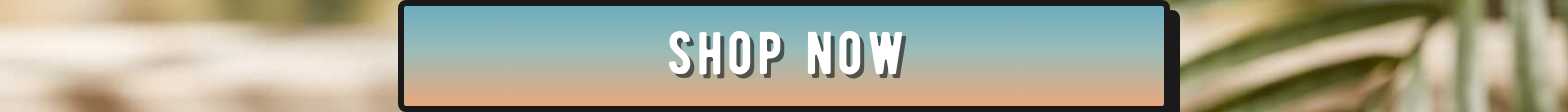 Shop Now button.