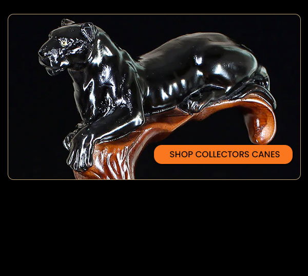 Discover More Collectors