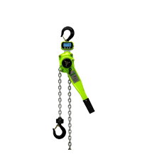 Shop Dynamometer Equipped Hoists Now
