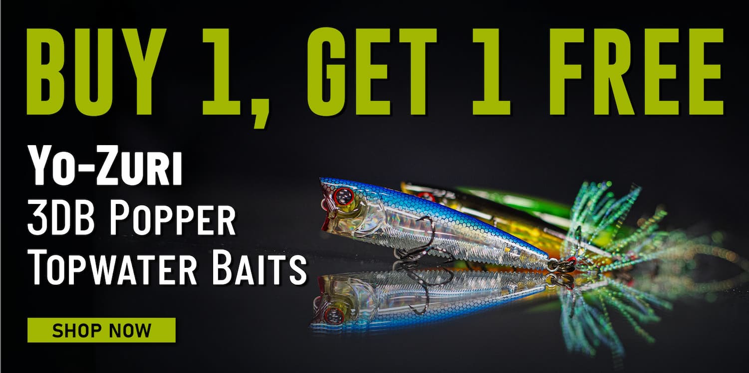 Buy 1, Get 1 Free Yo-Zuri 3DB Popper Topwater Baits Shop Now