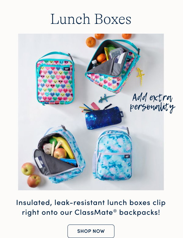 Lunch Boxes