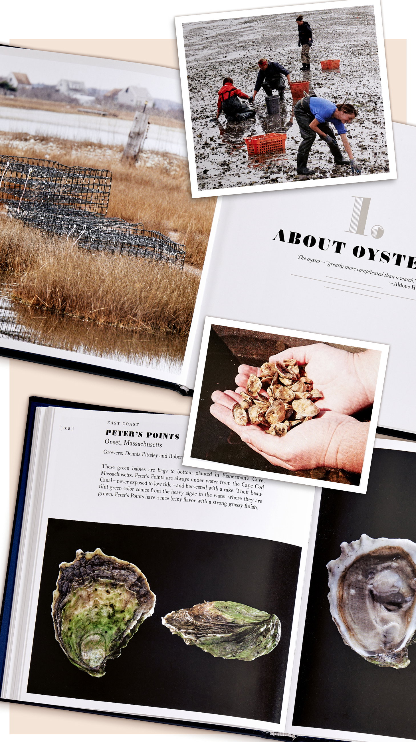 Interior pages from Oysters: A Celebration in the Raw.