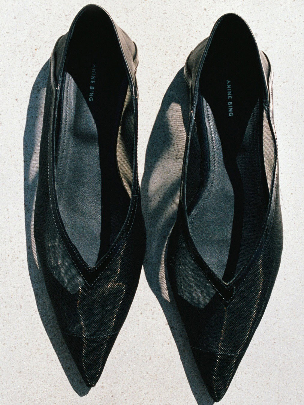 Pair of black pointed-toe Anine Bing mesh ballet flats photographed top-down on a light background