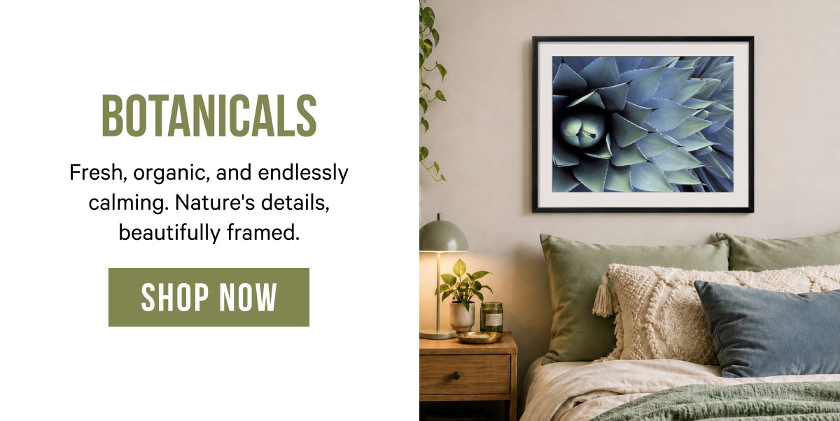 Botanicals: Fresh, organic, and endlessly calming. Nature's details, beautifully framed. 