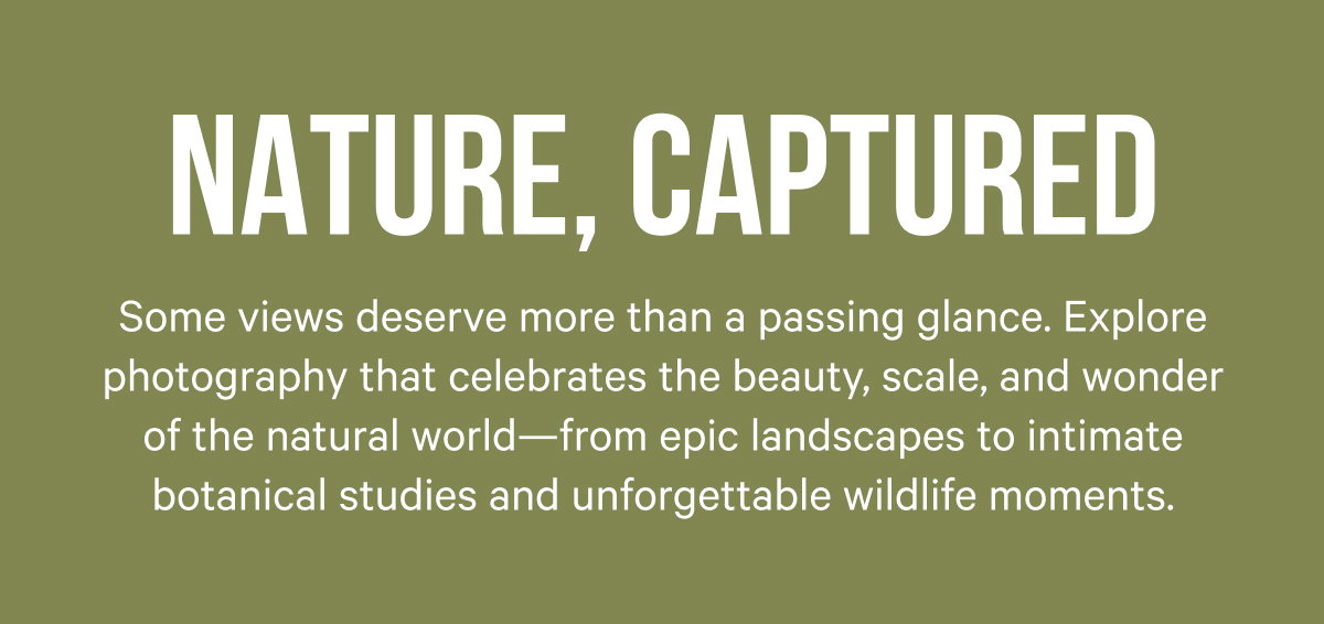 Nature, Captured: Some views deserve more than a passing glance. Explore photography that celebrates the beauty, scale, and wonder of the natural world—from epic landscapes to intimate botanical studies and unforgettable wildlife moments. 
