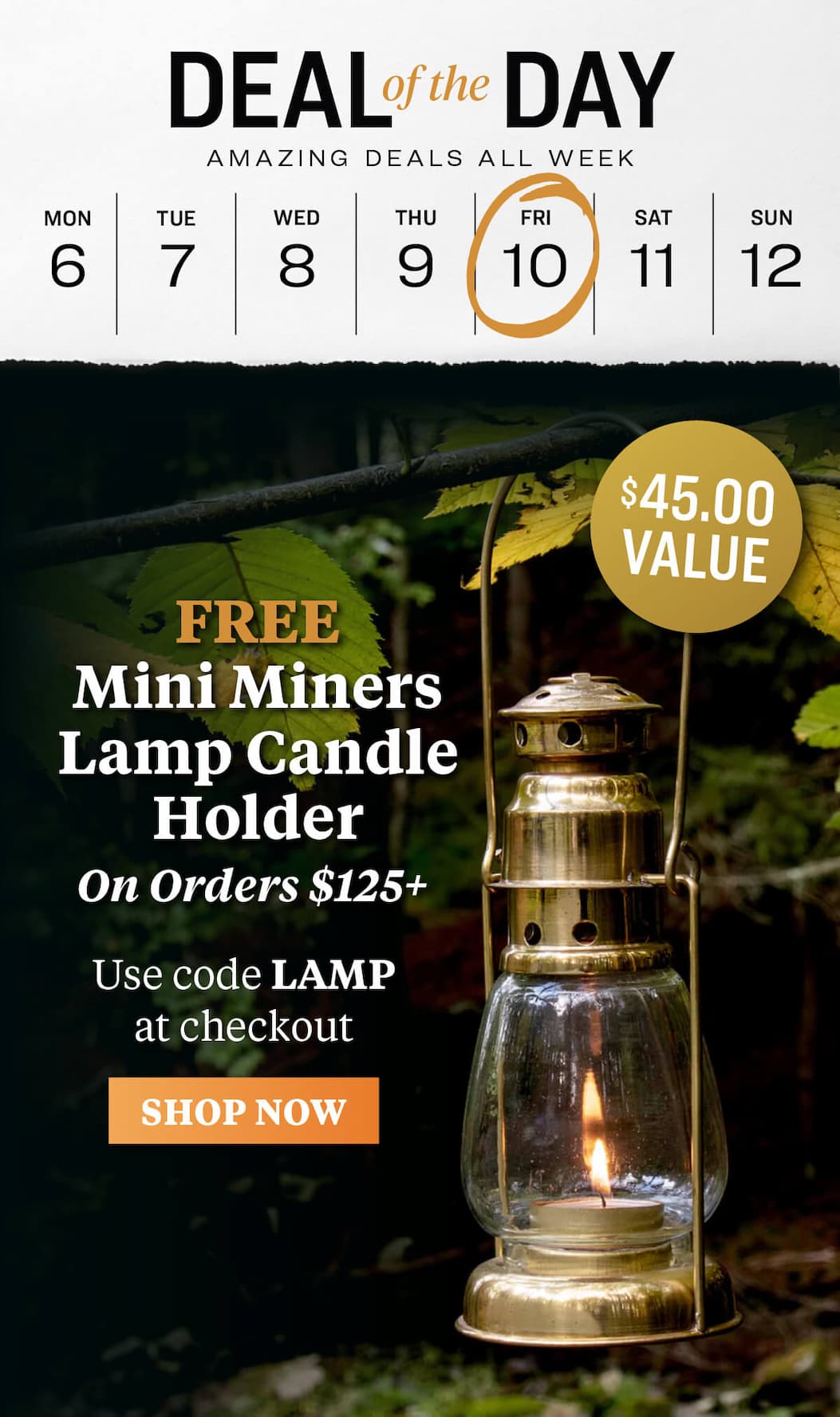 deal of the day