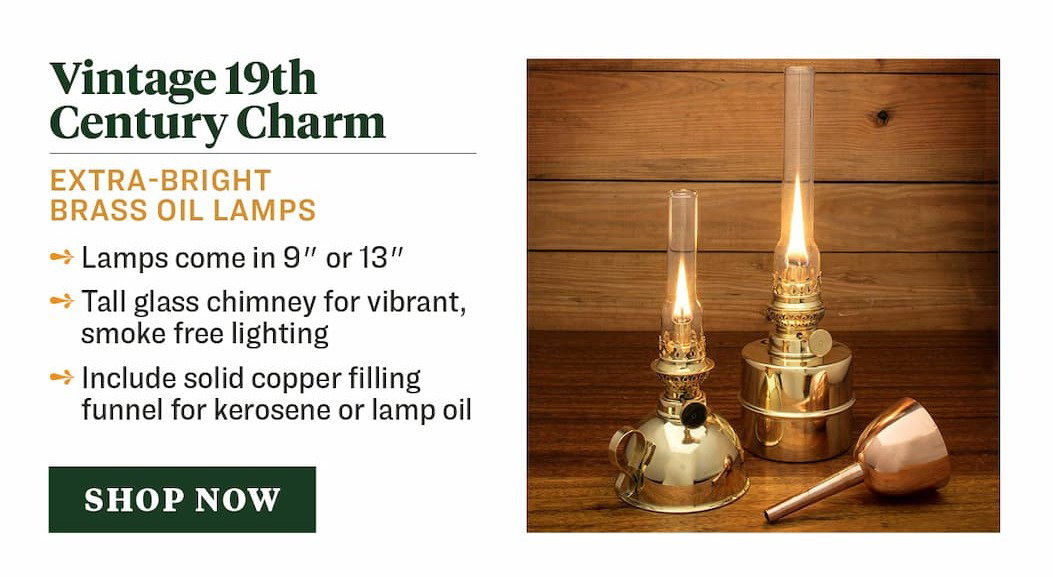 13 In. Extra-Bright Brass Lamp
