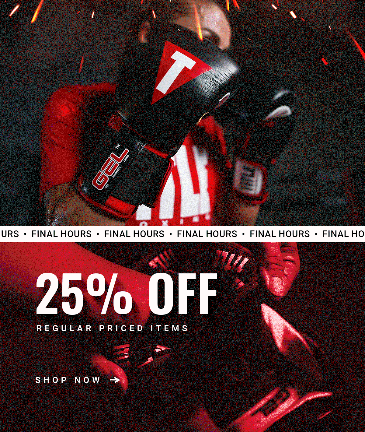 FINAL HOURS TO SHOP 25% OFF REGULAR PRICED ITEMS - 4 DAYS ONLY!