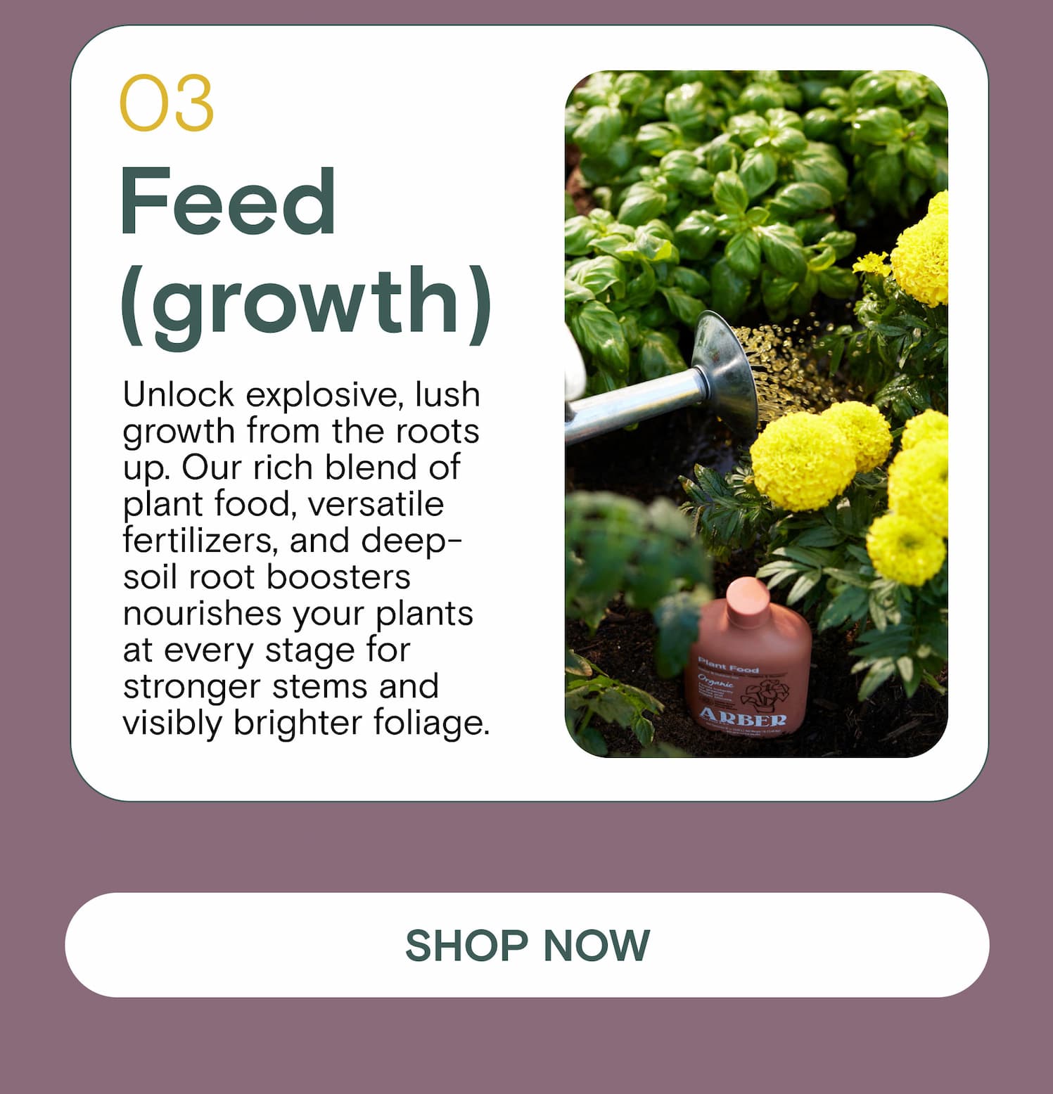 Feed (growth) Unlock explosive, lush growth from the roots up. Our rich blend of plant food, versatile fertilizers, and deep-soil root boosters nourishes your plants at every stage for stronger stems and visibly brighter foliage.