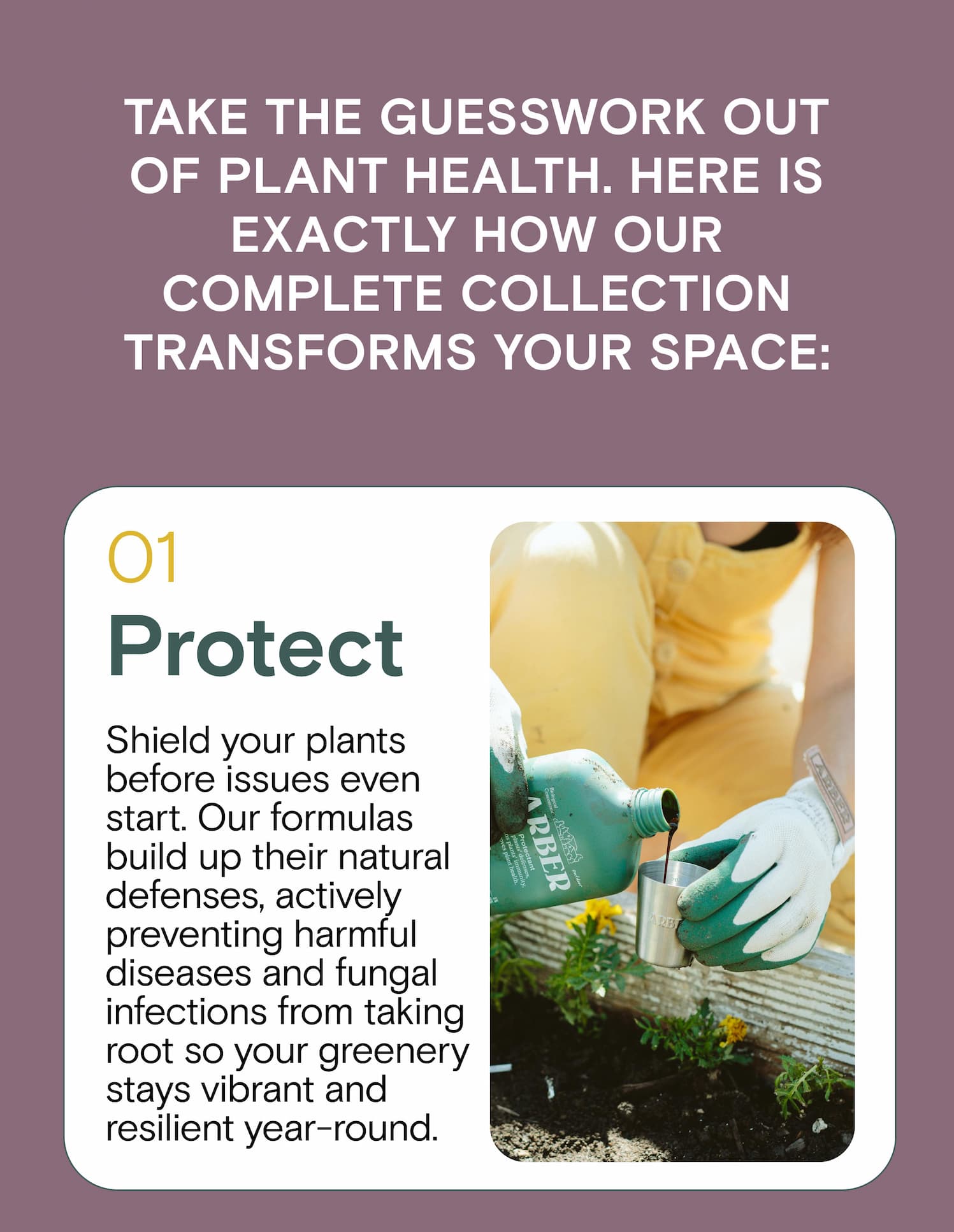 Take the guesswork out of plant health. Here is exactly how our complete collection transforms your space: Protect Shield your plants before issues even start. Our formulas build up their natural defenses, actively preventing harmful diseases and fungal infections from taking root so your greenery stays vibrant and resilient year-round.