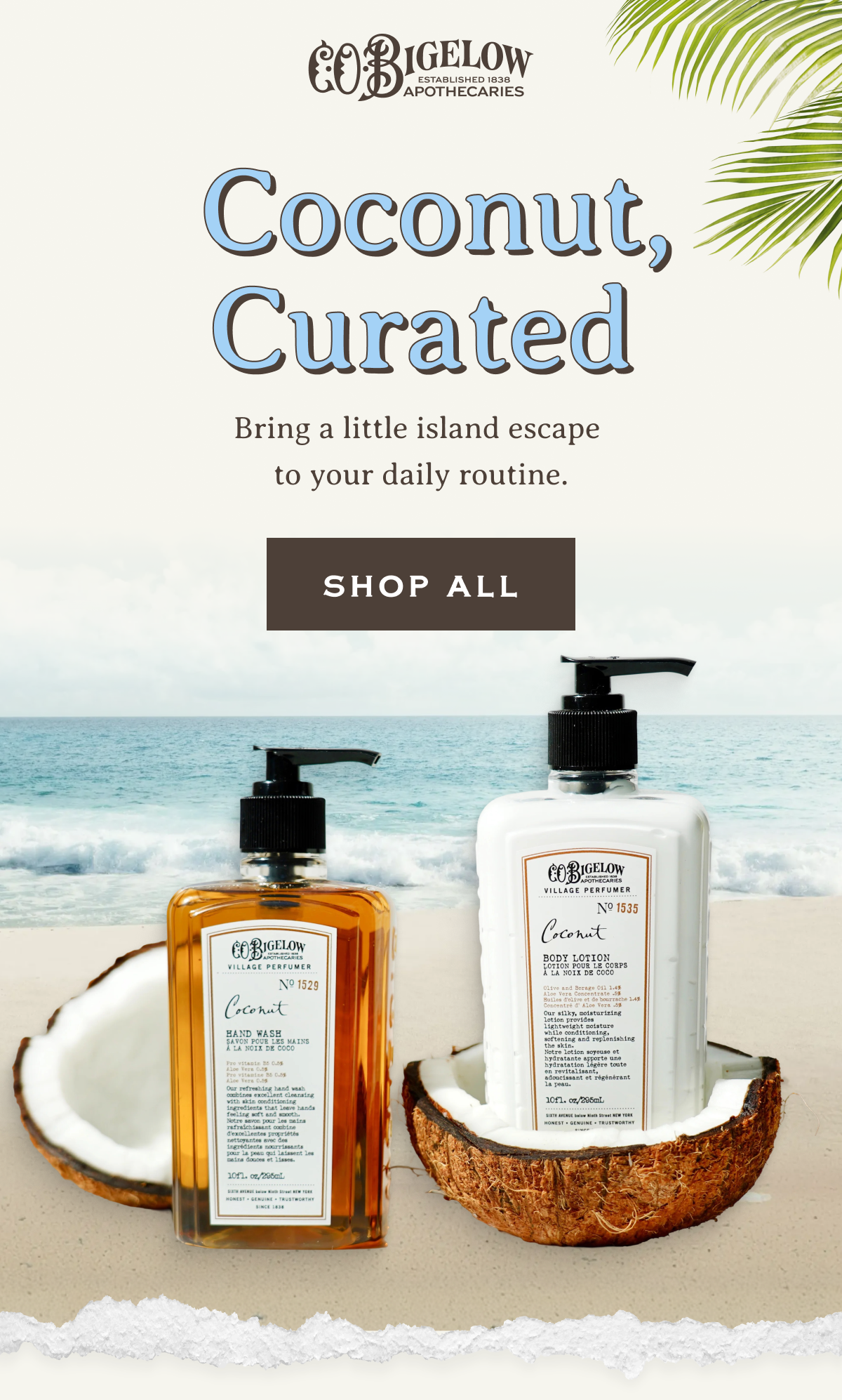 Coconut, Curated | Bring a little island escape to your daily routine. | SHOP ALL