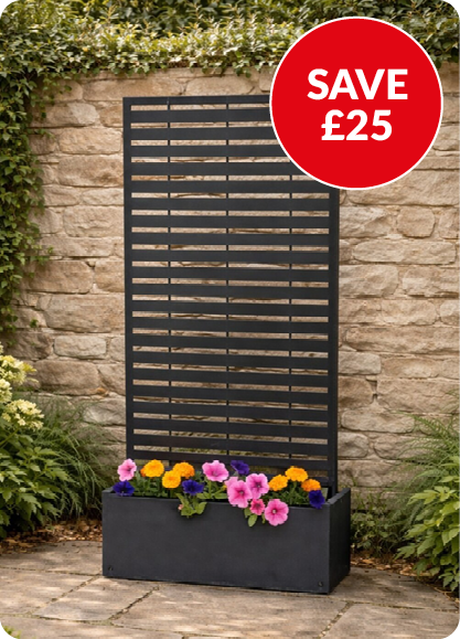 save £25
