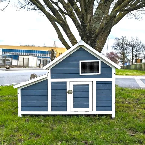 Poulailler Bantam XL bleu toit shingle 2 à 4 poules