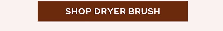 Dryer brush