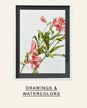 Drawings & Watercolors