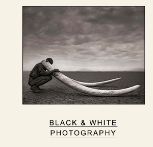 Black & White Photography