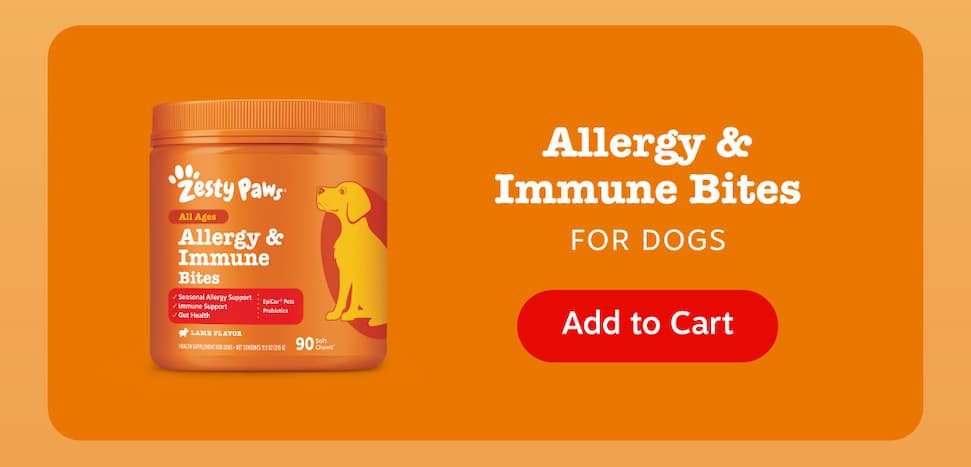 Allergy & Immune Bites for Dogs: Add to Cart