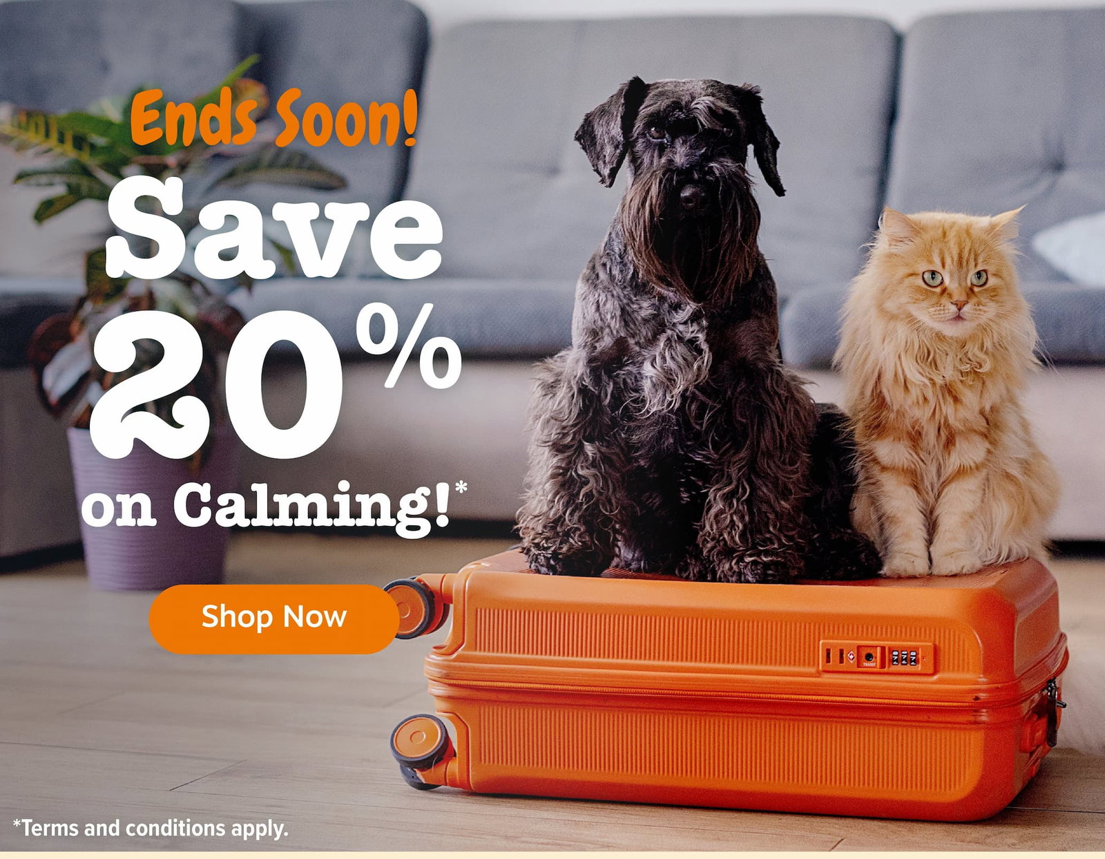 Ends soon! Save 20% on Calming!* Shop Now