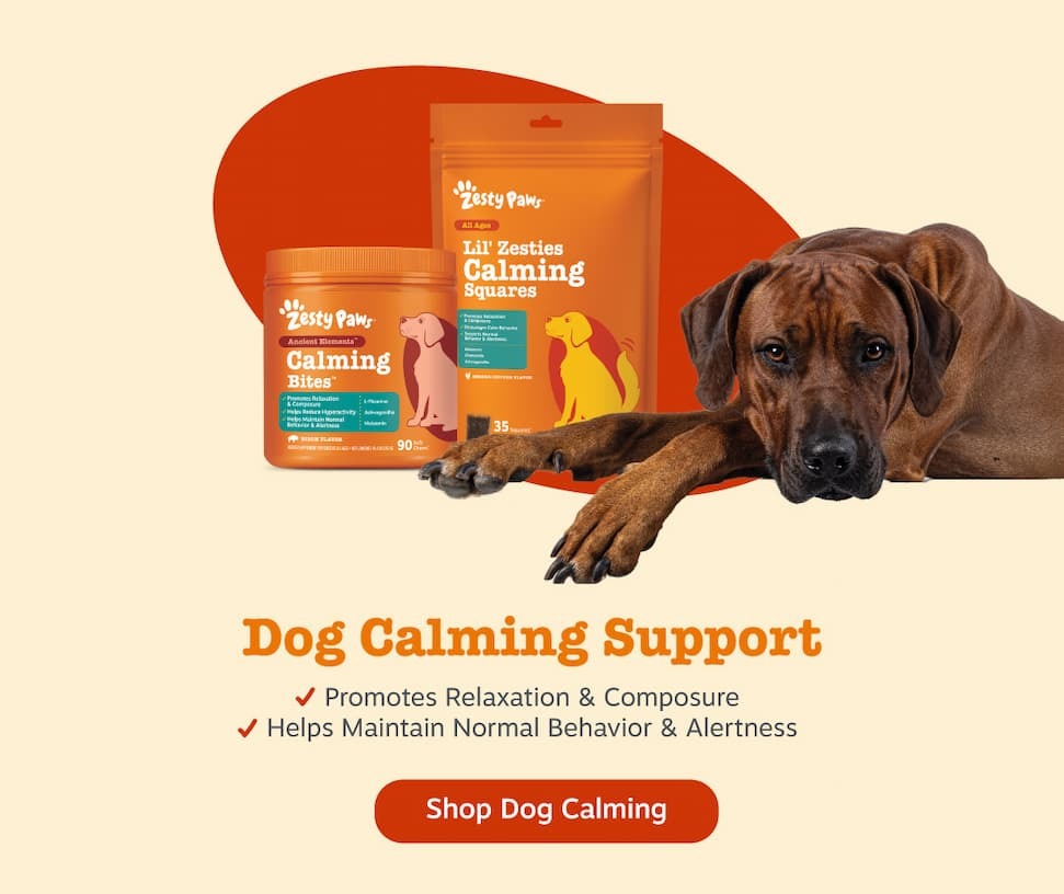 Dog Calming Support: 1) Promotes Relaxation & Composure 2) Helps Maintain Normal Behavior & Alertness - Shop Dog Calming