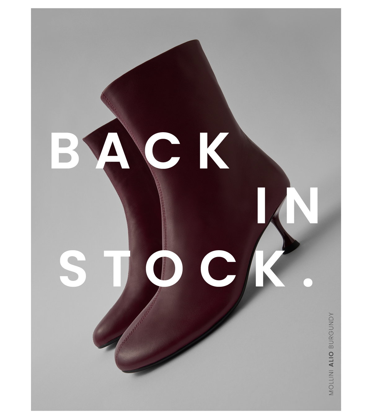 BACK IN STOCK