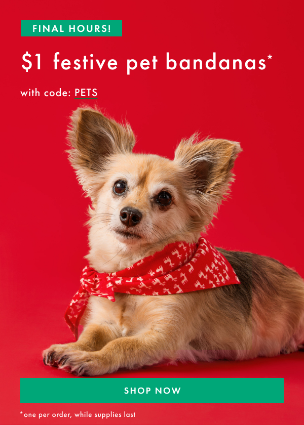 Final Hours! $1 festive pet bandanas* with code: PETS | Shop Now | *one per order, while supplies last