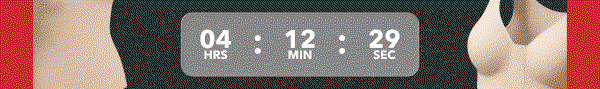Timer