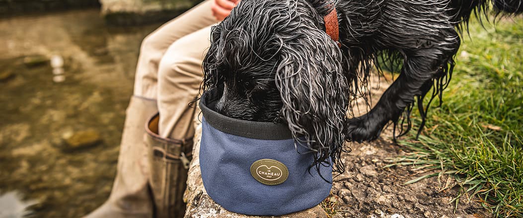 Shop Le Chameau Portable Dog Bowl at Philip Morris & Son