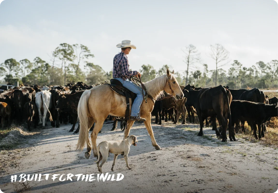 Built For The Wild