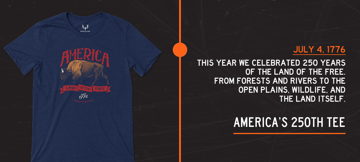 America's 250 Tee