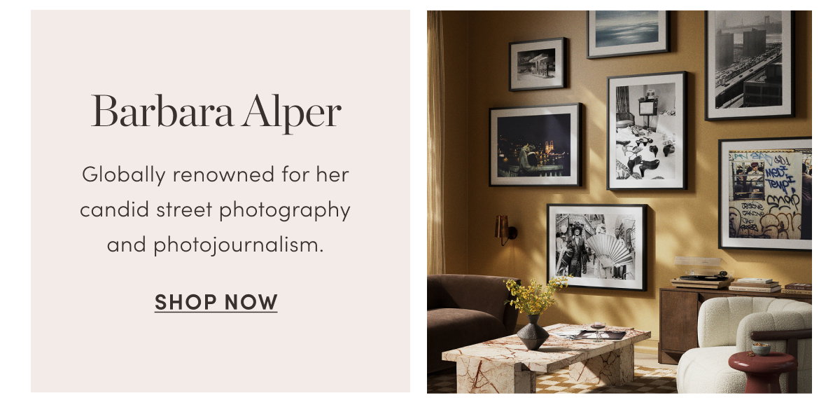 Shop Barbara Alper