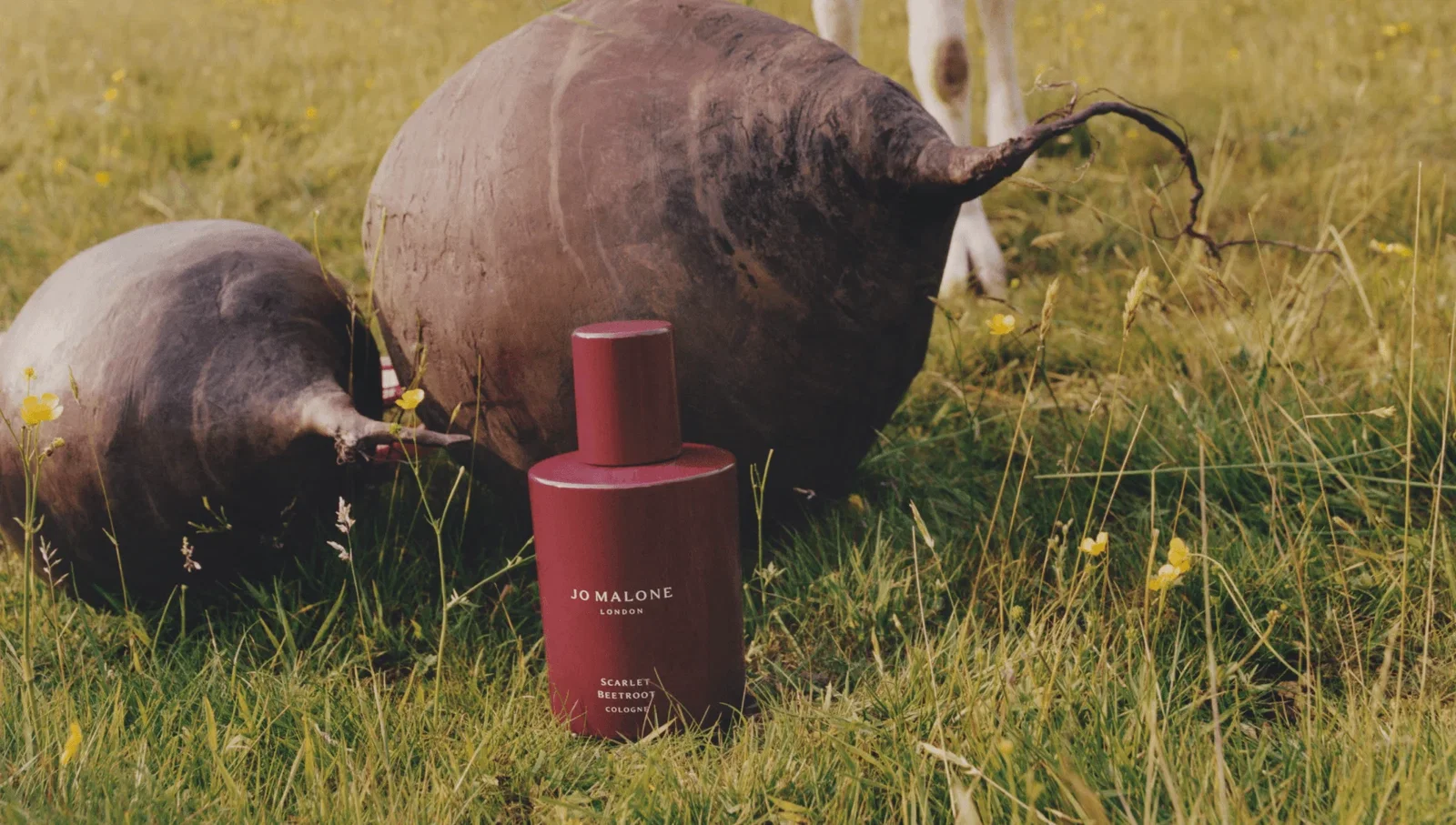 A bottle of Jo Malone Scarlet Beetroot Cologne in a grassy field, surrounded by giant beetroots and small yellow flowers.