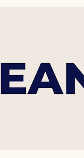 CleanBoss