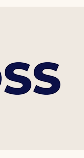 CleanBoss