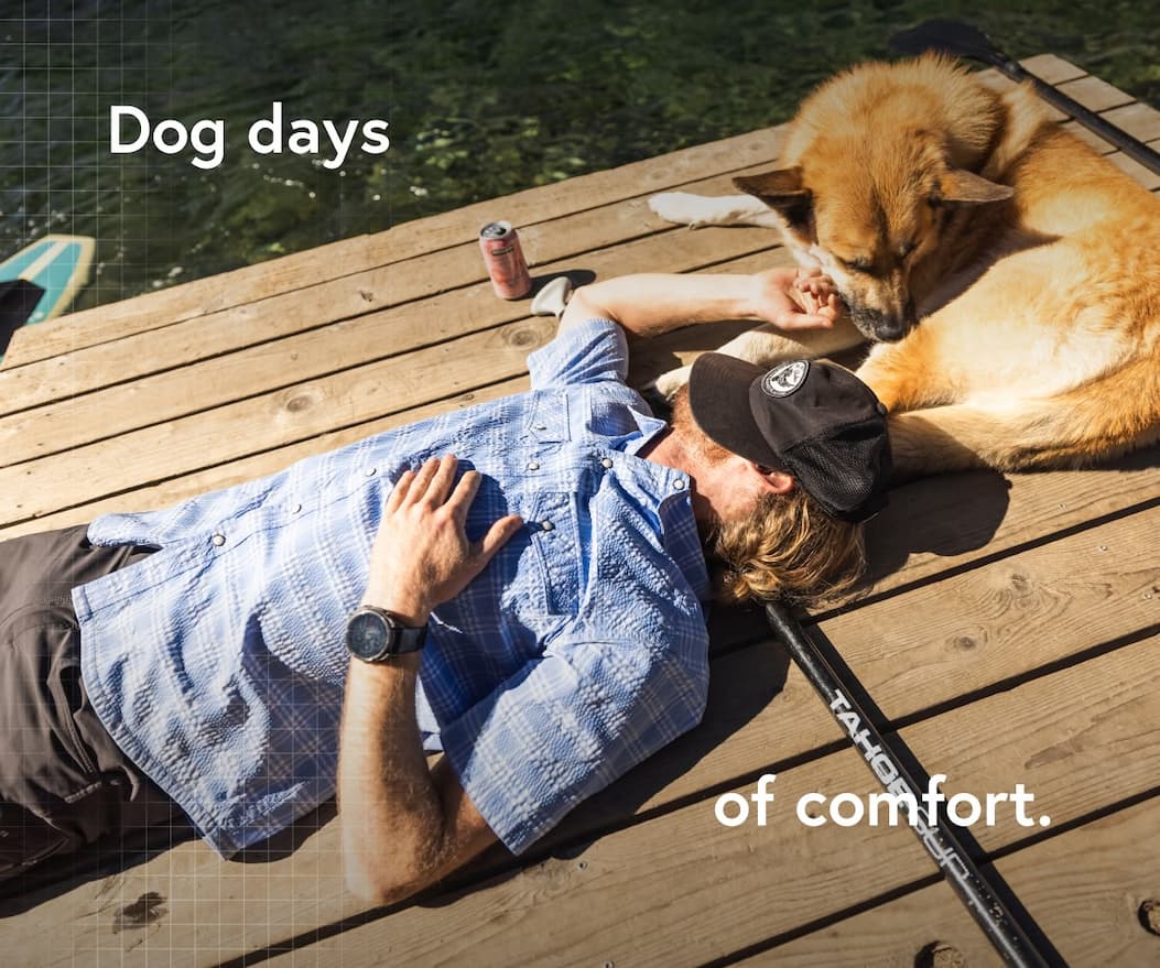 Dog days of comfort.