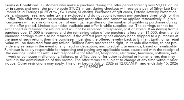 Promo Terms
