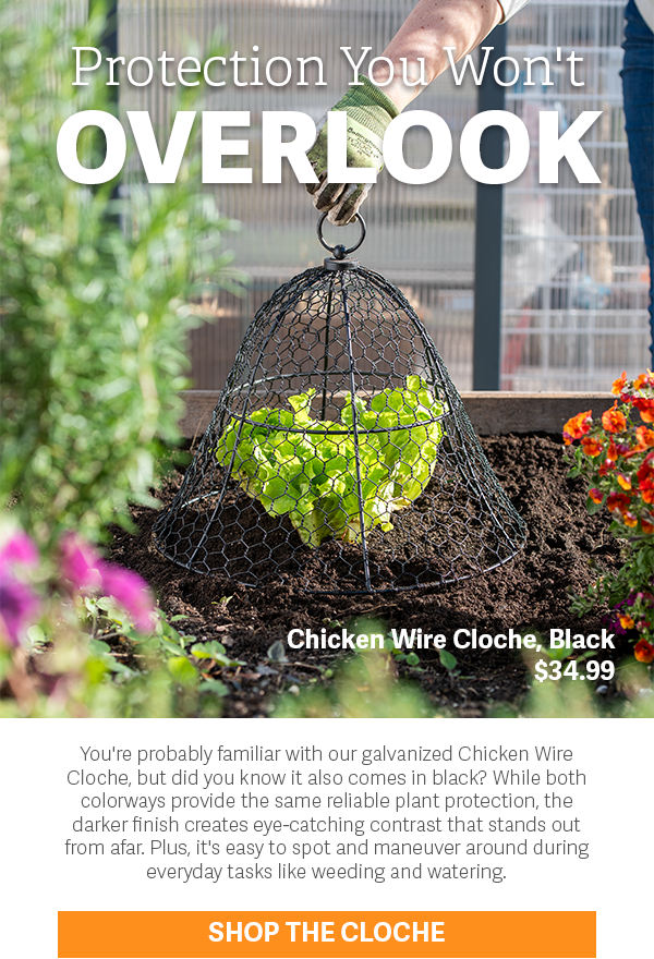  Protection You Won't Overlook Chicken Wire Cloche, Black - $34.99 | You're probably familiar with our galvanized Chicken Wire Cloche, but did you know it also comes in black? While both colorways provide the same reliable plant protection, the darker finish creates eye-catching contrast that stands out from afar. Plus, it's easy to spot and maneuver around during everyday tasks like weeding and watering.| Shop the Cloche