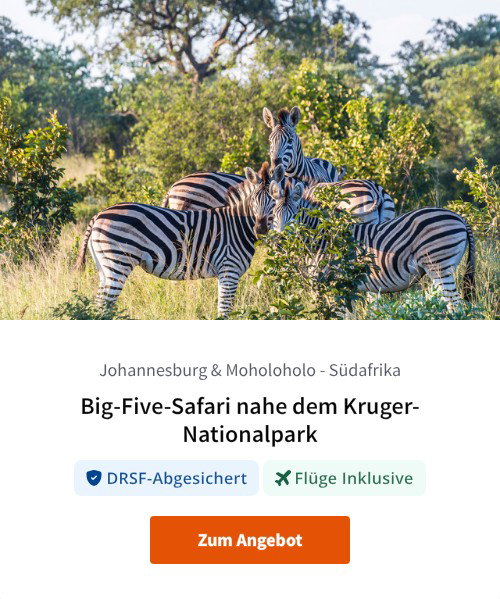 Big-Five-Safari nahe dem Kruger-Nationalpark